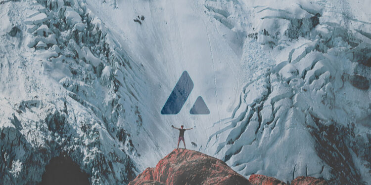 AVAX Nasıl Alınır – 2021