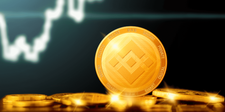 Binance Coin Nasıl Alınır – 2021