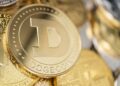 Dogecoin Nasıl Alınır – 2021