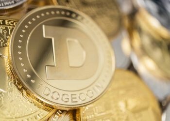Dogecoin Nasıl Alınır – 2021