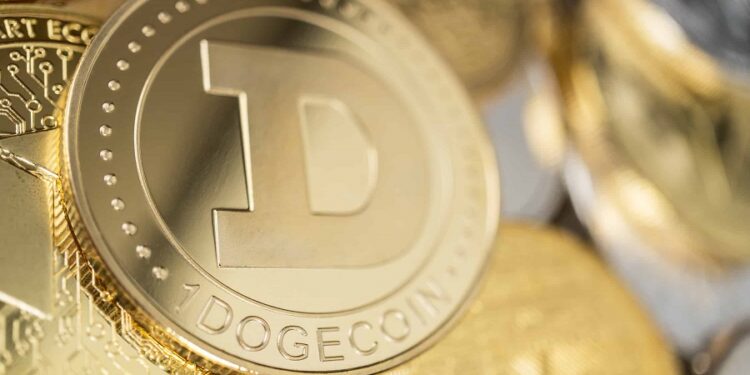 Dogecoin Nasıl Alınır – 2021